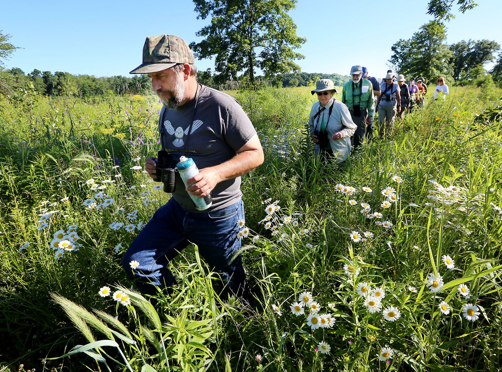 Walking through the marsh